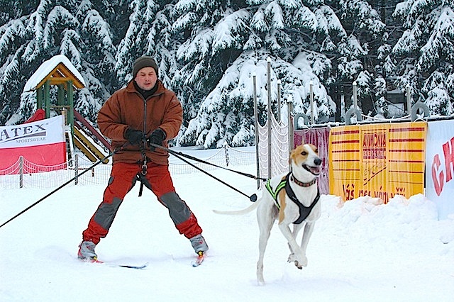 Milan a Herceg při zkoušení skijöring (foto Martin Levíček)